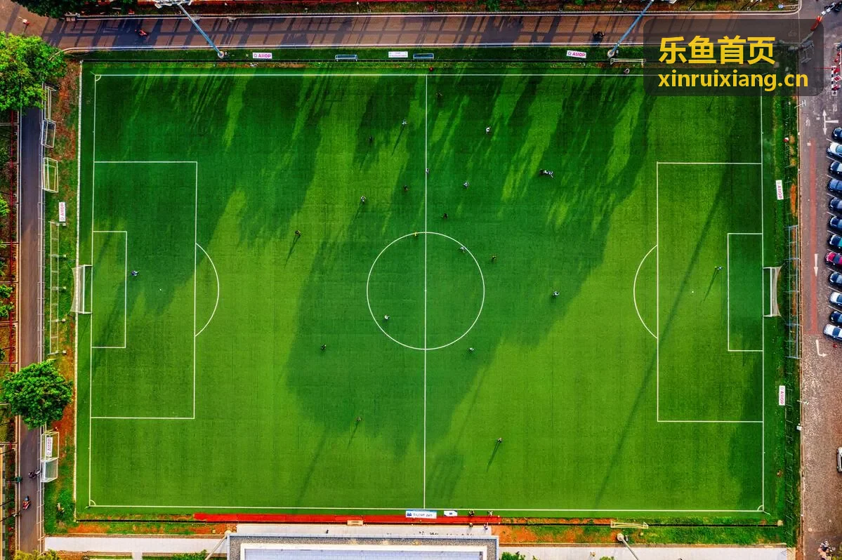 乐鱼首页数字化增长诊断场景